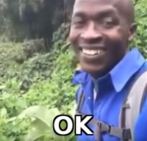 ok calamba meme|Ok Meme GIFs .